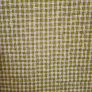 Green and White Gingham Fabric Top